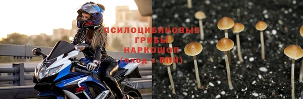 спиды Баксан