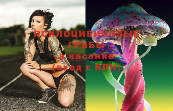 марки lsd Беломорск